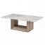 Table basse T02-106275550-106275549