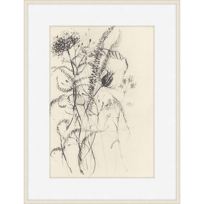 Autumn Seed Heads 1 Print, 23" H x 20" W