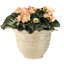 Ensemble de pots à fleurs en résine 3 pièces Frew-950323912-950323919