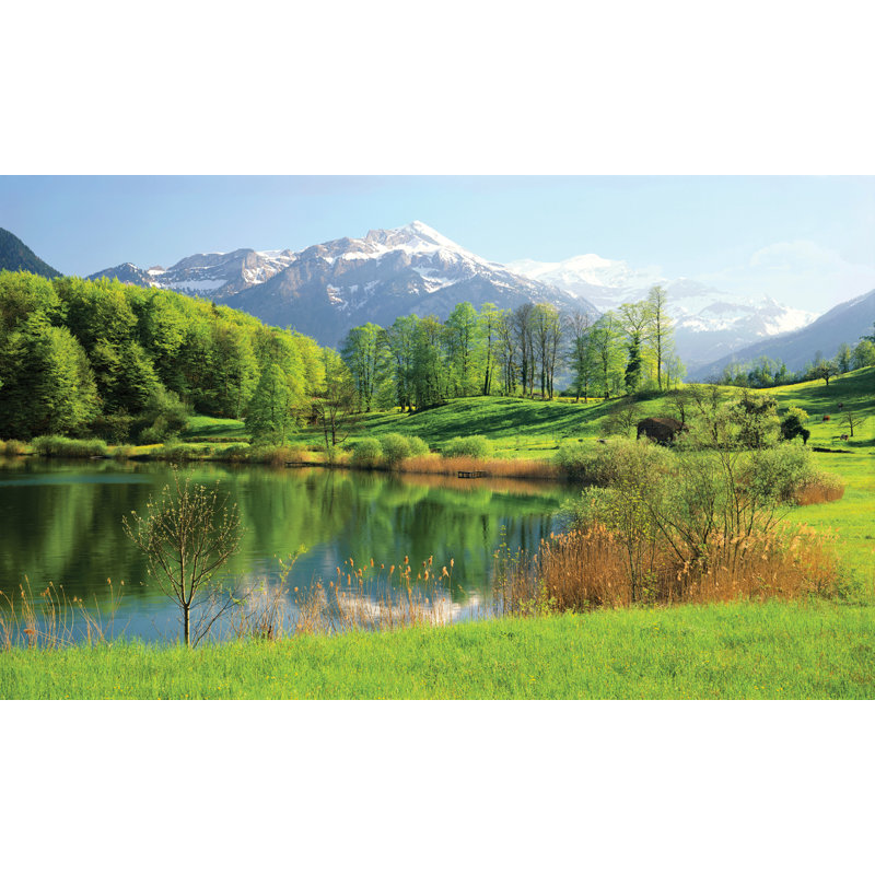 Landscape & Nature Non-Wall Damaging Window Decal, 60" H x 120" W x 0.02" D