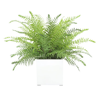 Richas Faux Fern Plant in Fiberstone Pot