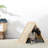 Portable Cat House