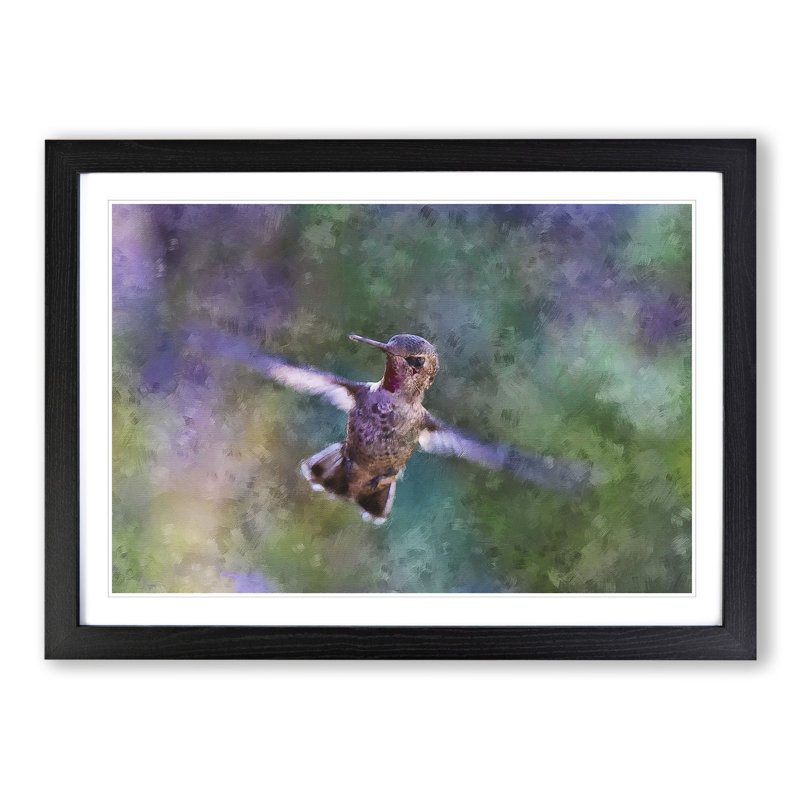 Hummingbird Vol.2 - Picture Frame Graphic Art, Black Framed, 36cm H x 48cm W x 2cm D