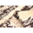 Sienna  Brown Rug 5'3" x 7'10"