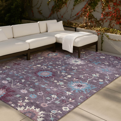 Machine Washable Indoor/Outdoor Chantille ACN2609 Traditional Rug