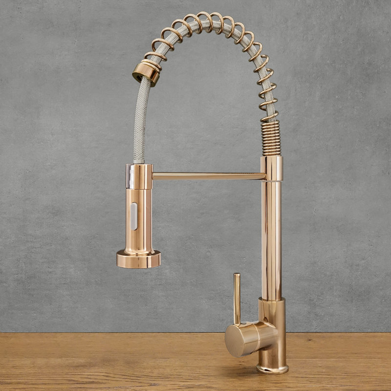 Belfry Kitchen Kitchen Faucet, Brass