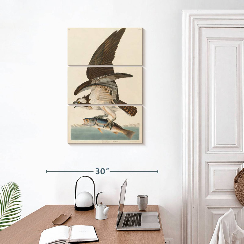 Brampt Osprey And Weakfish, 32'' H x 20'' W