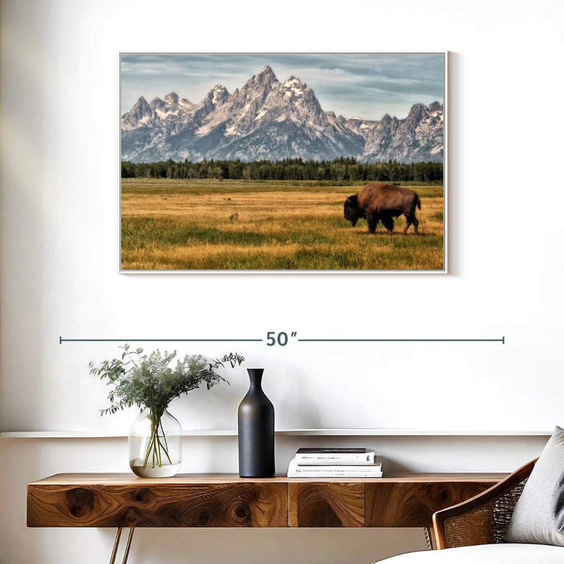 Bull Bison à Grand Teton, Cadre flottant blanc, 37 po x 25 po
