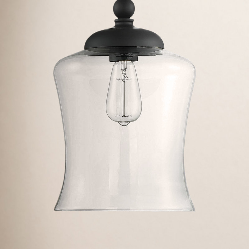 Luminaire suspendu simple en forme de cloche à 1 lumière Pinedale, Noir mat