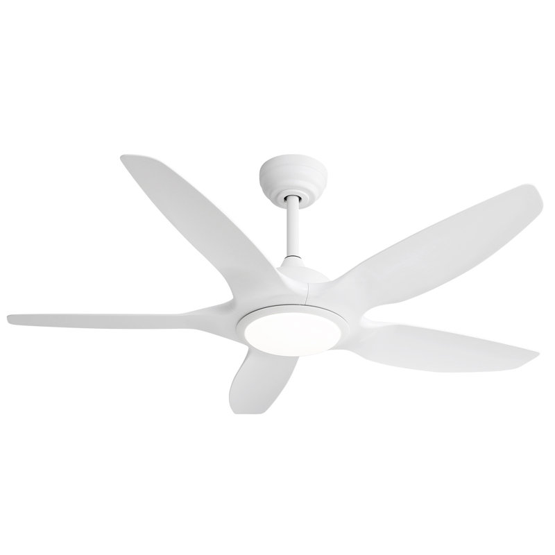 Ventilateur de plafond 48 pouces avec lumière DEL à intensité variable et télécommande