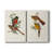 ElegantTrogonsI-Premium Gallery Wrapped Canvas -Ready to Hang-108946521