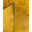 Overdyed One-of-a-Kind 6' 0" X 8' 8" Hand Knotted Area Rug