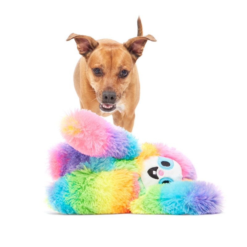 Best Of Bark Box Accessories