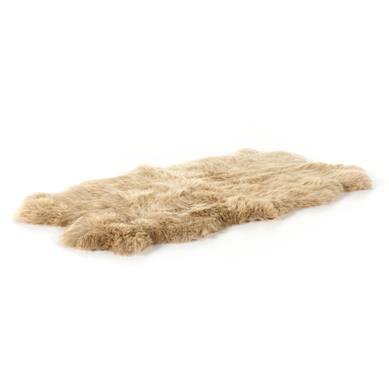 Lalo Sheepskin Area Rug in Cream, Novelty 3'3 x 5'10"