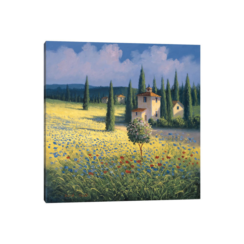 Tuscan Poppies I by David Short - Wrapped Canvas Print, 30.48 cm H x 30.48 cm W