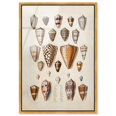 Affiche vintage encadrée « Conts Cones » par Art Remedy, impression acrylique, cadre doré, 16 x 24 pouces