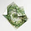 Tapisserie murale légumes pois Earthnut-133637121
