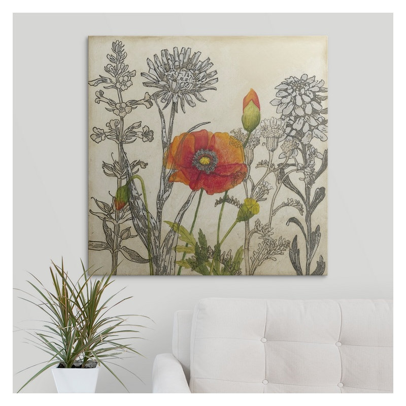 Doughtry " Emerging Poppy " by Megan Meagher, 35" H x 35" W x 1.5" D, Canvas