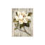 Feuilles de fleurs blanches et de roses blanches, cadre en bois à l'arrière intégré, l 20 x L 30