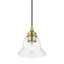 Whinnie 1 - Light Single Pendant-1563932202
