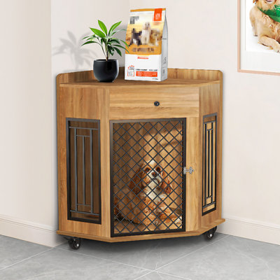 Caisses de coin pour chien