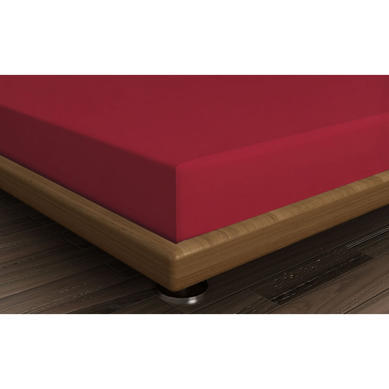 Drap-housse 100% coton Harriss, Drap-housse pour lit simple TG, Marron