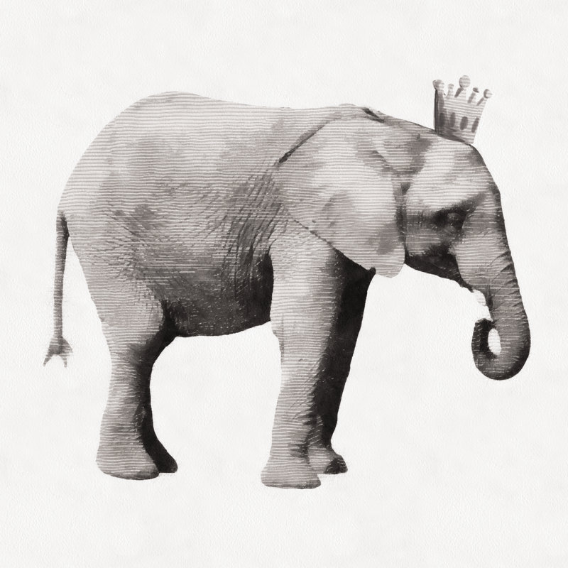 Greyscale Elephant King - Wrapped Canvas Print, 30cm H x 30cm W x 3.8cm D