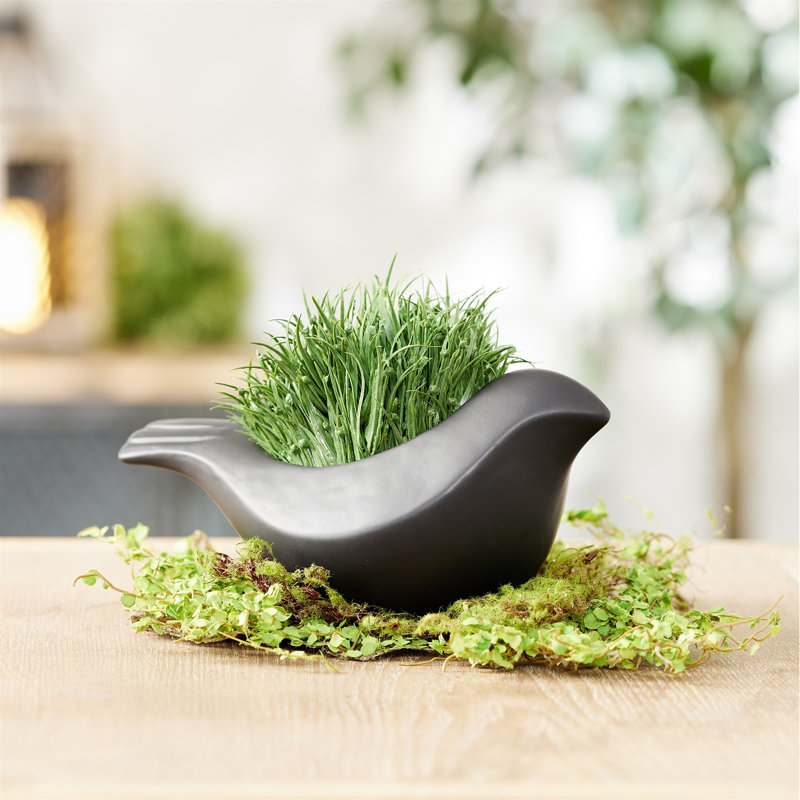 Black Ceramic Bird Containers