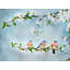 Blue Birds In Cherry Blossoms 1 Print by Beth Sheridan-65780437-65780436
