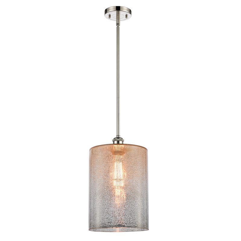 Luminaire suspendu cylindrique à 1 lumière Leilani, Ampoule non incluse, Mercure, Nickel poli