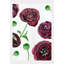 Black Ranunculus On Snow Print by Jessica Hollander-946275018