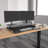 Adjustable Standing Desk Converter