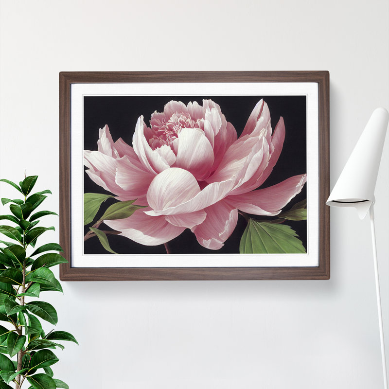 Delicious Peony Flower - Single Picture Frame Painting, 25cm H x 34cm W x 2cm D, Walnut