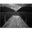 The Lake - impression d'art graphique-21513486