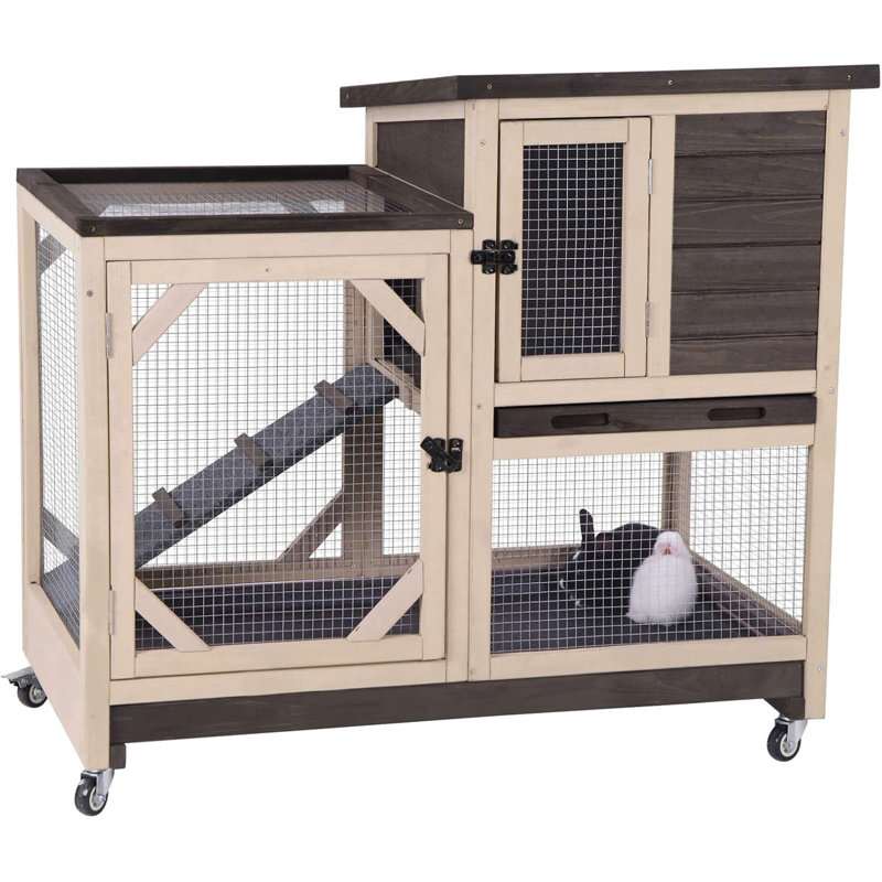 Cage pour petit animal avec rampe Terrill, Café
