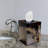 Brumback Tissue Box Cover