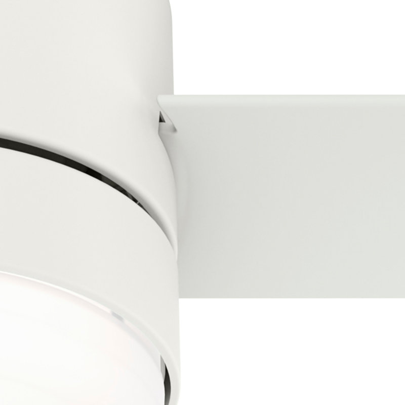 Gilmour 52" 3 - Blade Flush Mount Outdoor Ceiling Fan with Pull Chains and Light, Matte White