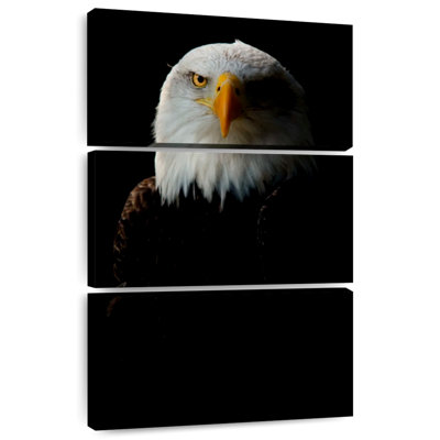 Brampt Bald Eagle Headshot