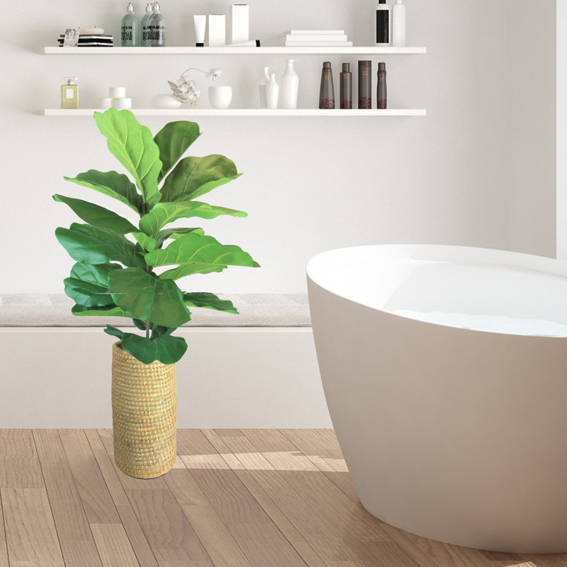 Plante de figuier figuier artificielle dans un panier 52,00 po Lilly White