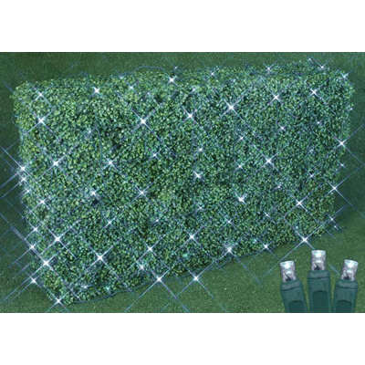 LED Net Lights