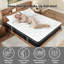 Matelas en mousse viscoélastique 12 po-1043936285-1068825357