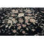 Oriental Area Rug