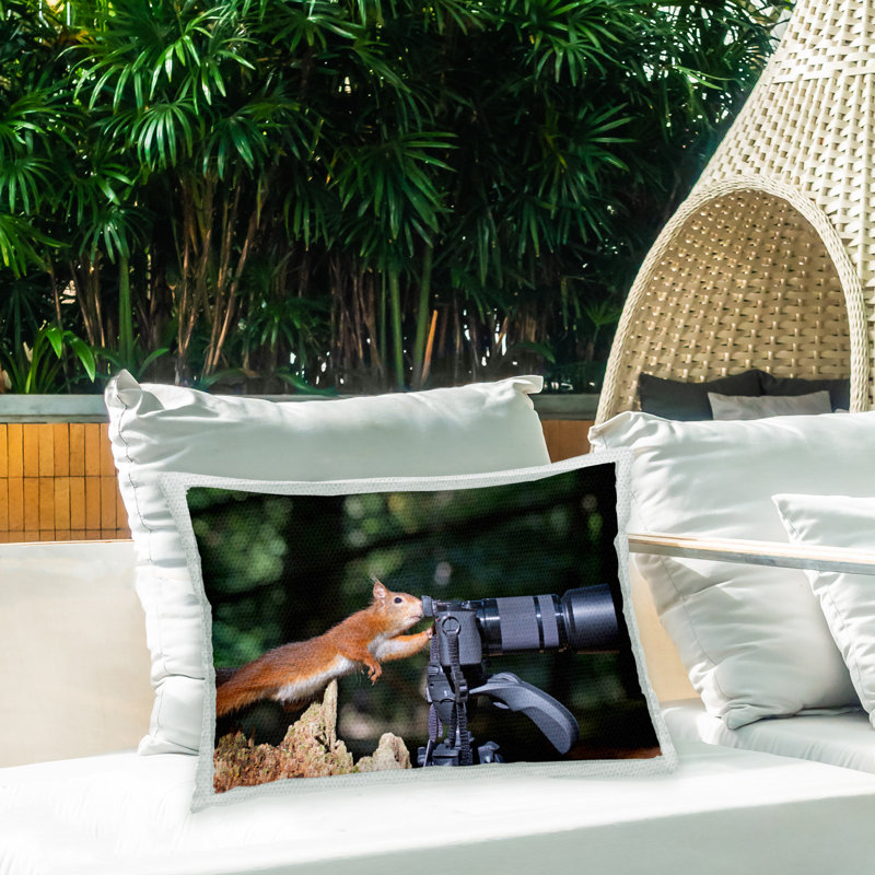 Polyester Lumbar Rectangular Indoor/Outdoor Pillow Cover & Insert