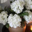 Double Hydrangea Faux Floral-1746310716
