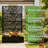 70.87" H × 46.06" W Leaf Pattern Privacy Screen with Planter Box, Black Metal Freestanding Decorative Fence Planter for Patio Balcony Backyard