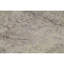Oriental Indoor Rug