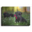 "Black Lab Pup 13" par Jonathan Ross-2098570168