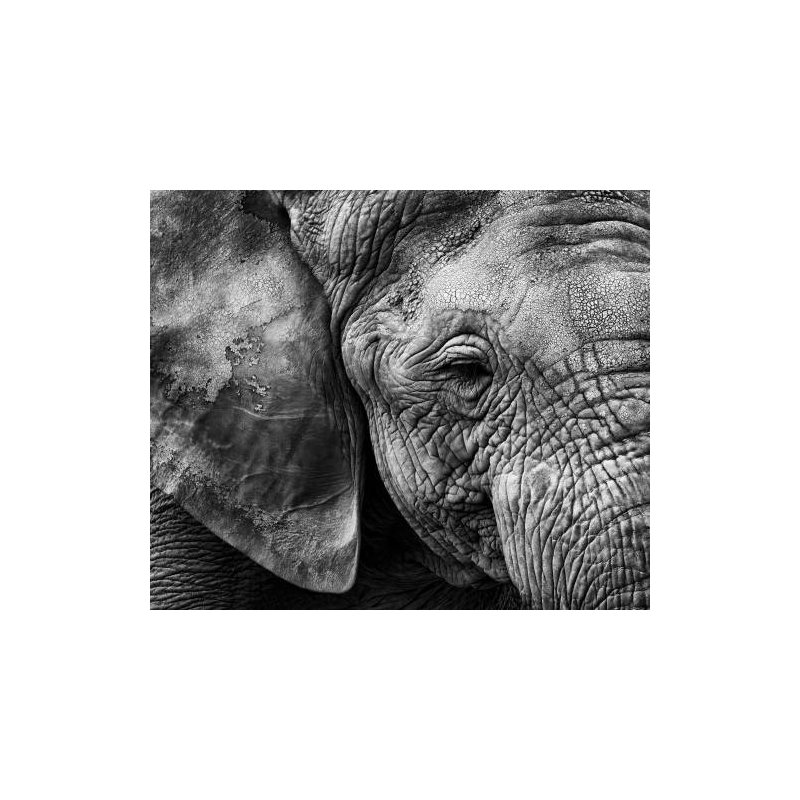 Wrapped Canvas Print, 50.8cm H x 76.2cm W