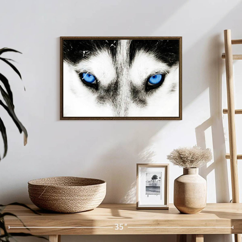 Husky's Eyes, 19" X 13", Floating Frame Walnut