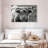 Monochrome Highland Cow-1485647510-1485647517
